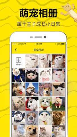 猫语交流翻译器完整版下载